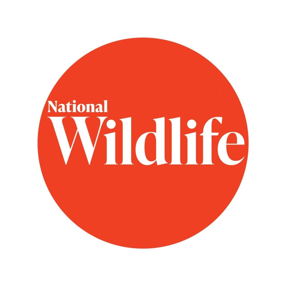 325331313_940928040228055_4482545274080726673_n