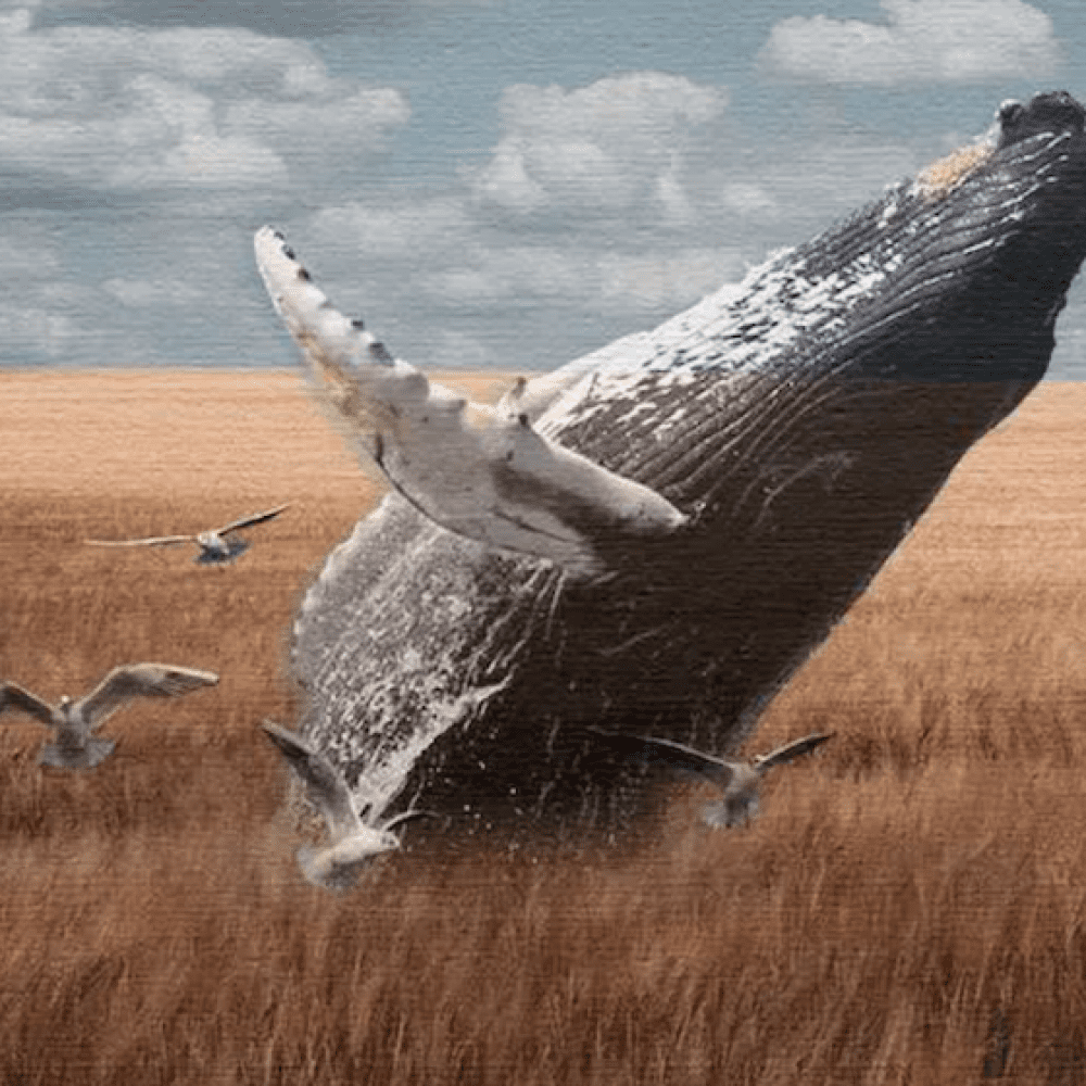 Screen Shot 2022-04-24 at 11.53.13 AM