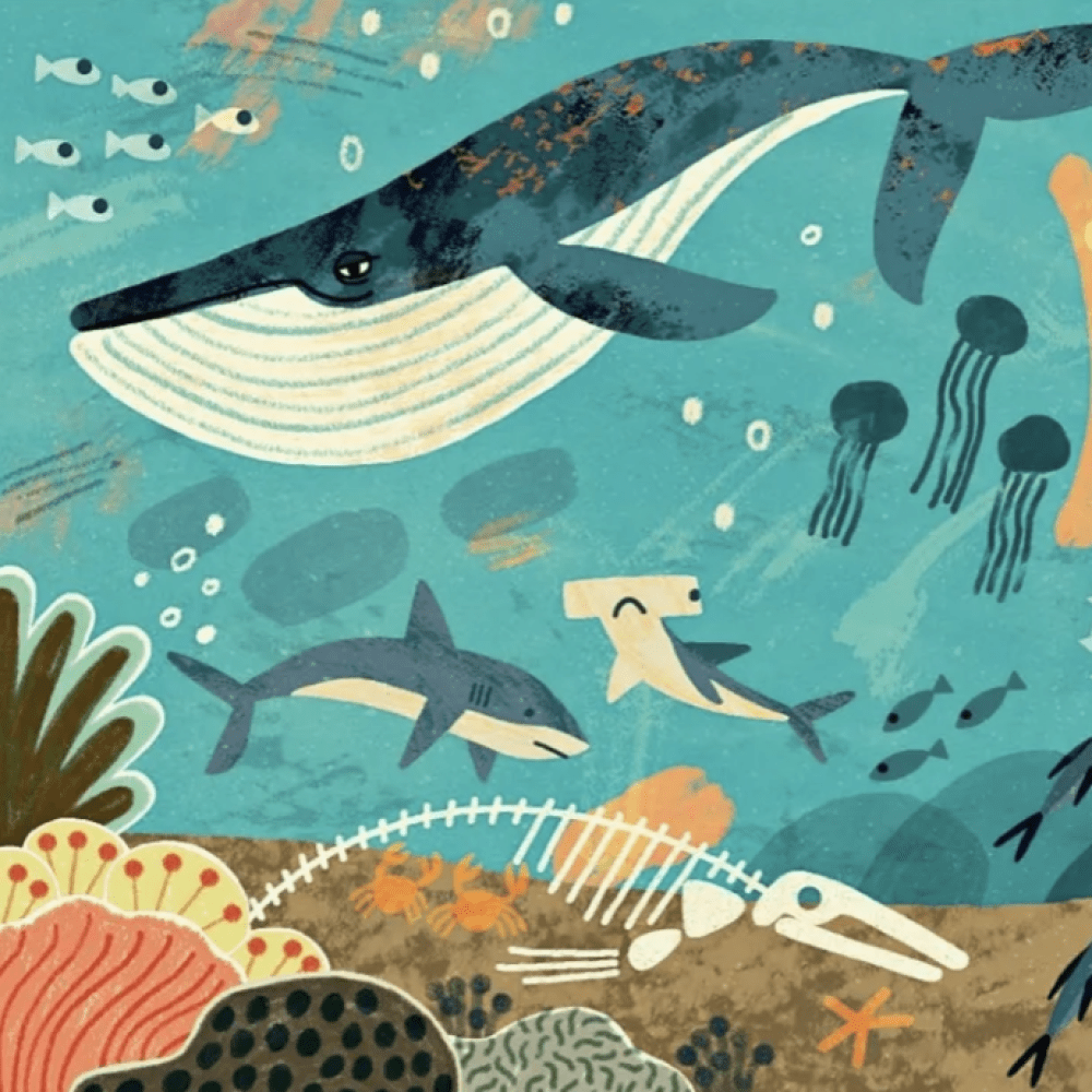 Screenshot 2026-01-31 at 9.41.16 AM