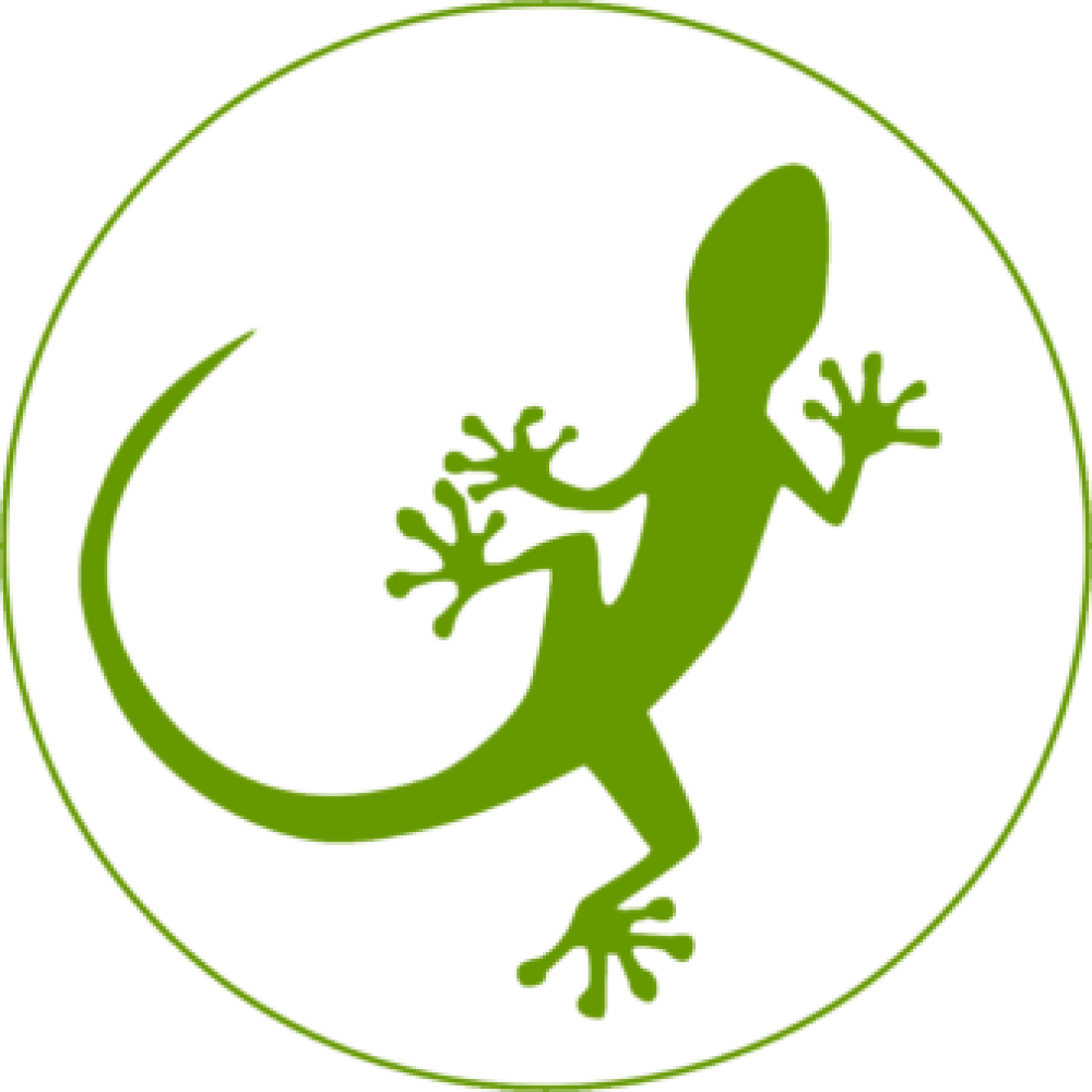 mongabay-lizard-circle-logo-690-336x336-1